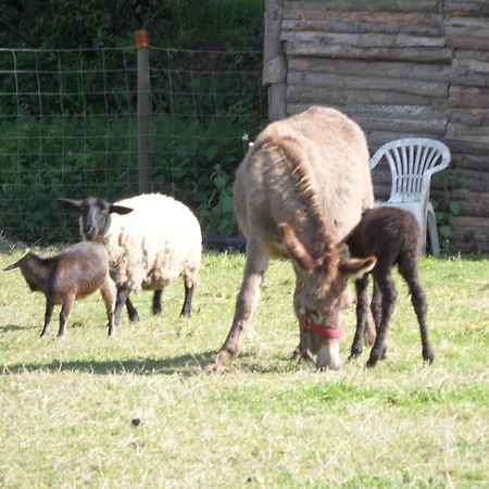 Les Pieds Dans L'Herbe Rosporden Εξωτερικό φωτογραφία