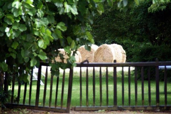 Les Pieds Dans L'Herbe Rosporden Εξωτερικό φωτογραφία