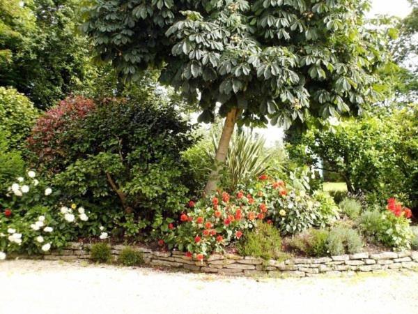Les Pieds Dans L'Herbe Rosporden Εξωτερικό φωτογραφία